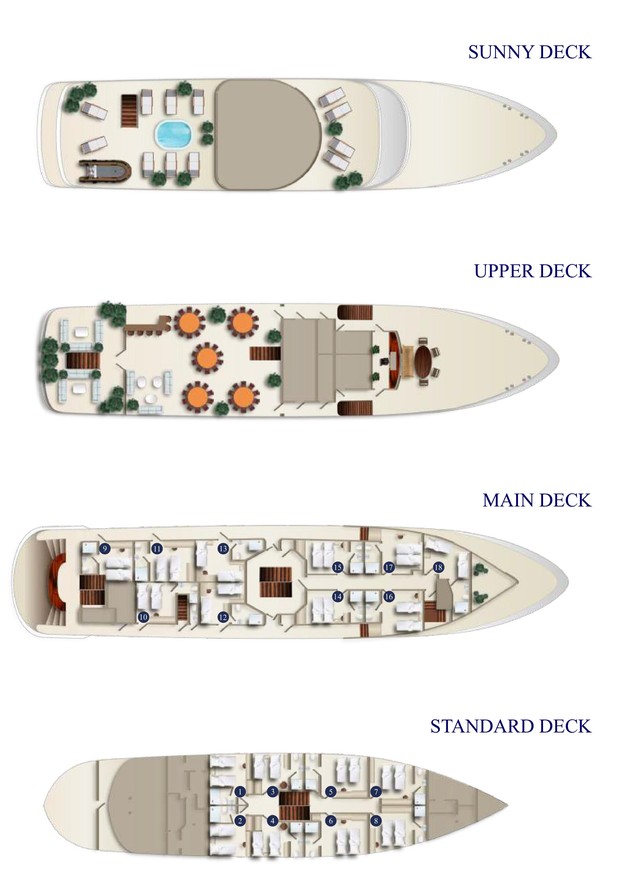 Cabin layout for San Spirito