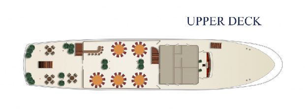 Cabin layout for Summer