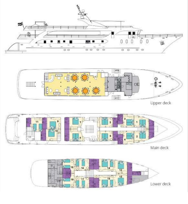 Cabin layout for Maritimo