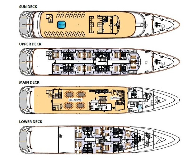 Cabin layout for Premier