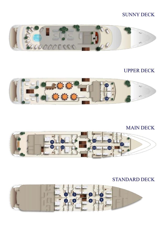 Cabin layout for Ambassador