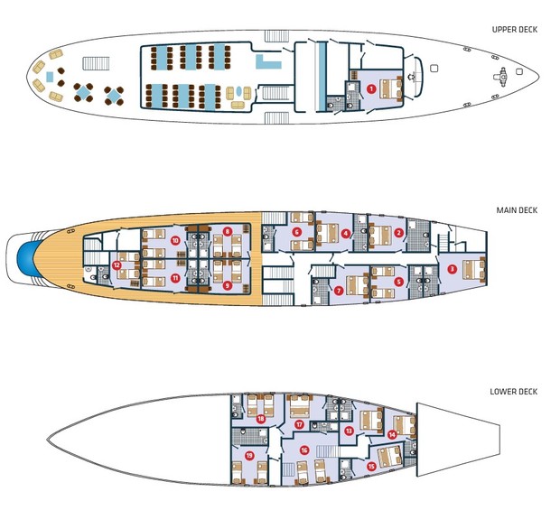 Cabin layout for Arca