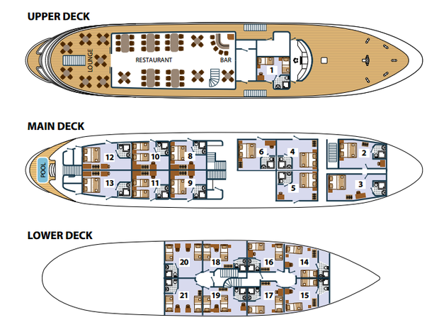 Cabin layout for Prestige