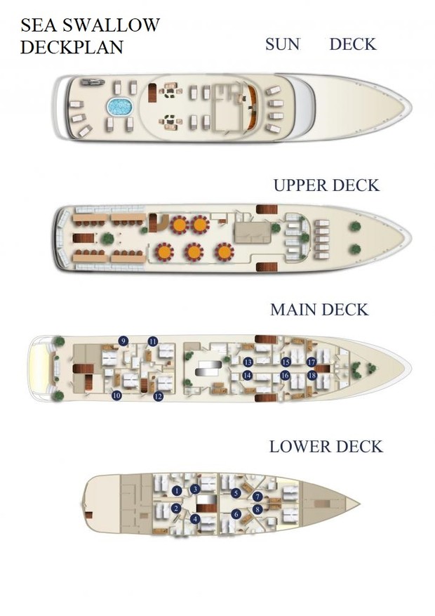 Cabin layout for Swallow