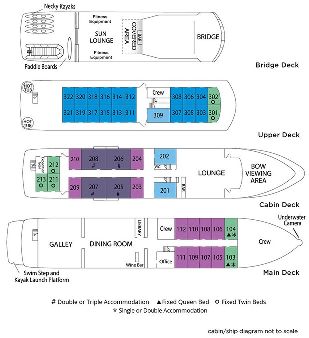 Cabin layout for Safari Endeavour