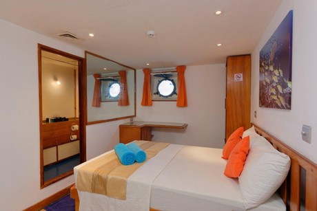 Lower main deck cabin - full board