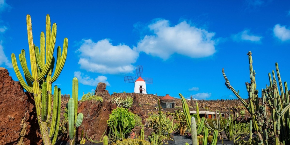 Feture image for Beautiful Greens of the Canary Islands - Sailing Cruise