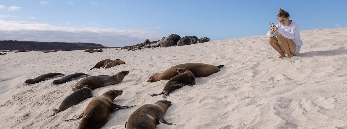 Feture image for East Galapagos Expedition Cruise