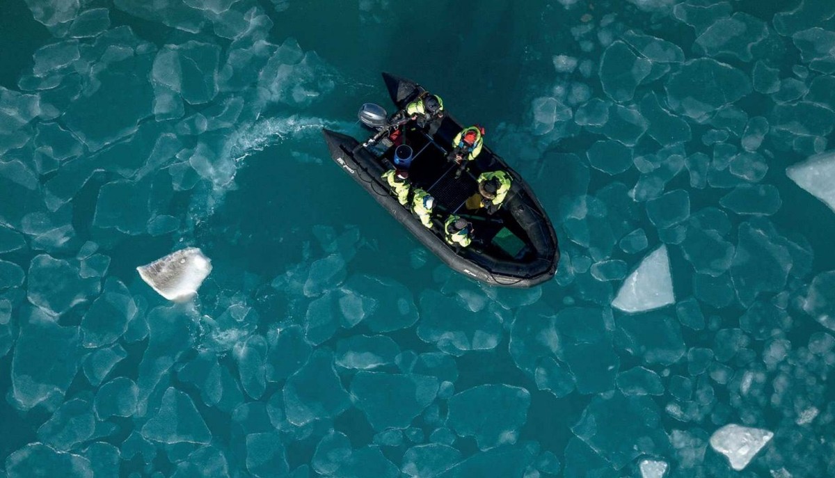 Feture image for In the Ice Floes of Greenland and Spitsbergen Expedition