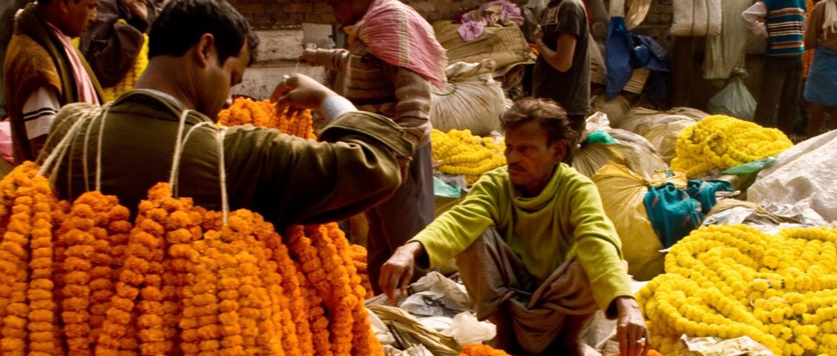 Feture image for The Lower Ganges River - India River Cruise