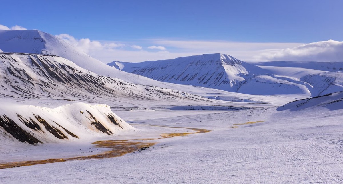 Feture image for West Svalbard